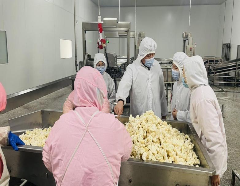 韓國三星項目負責(zé)人對我公司進行了蔬菜車間的年度審核