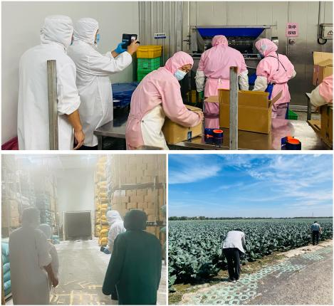 韓國(guó)客戶如期進(jìn)行年度訪問(wèn)